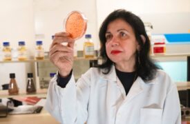 Pesquisas de brasileira ‘Nobel da Agronomia’ economizam R$127 bi e evitam emissão de 230 milhões de toneladas de CO2 por ano
