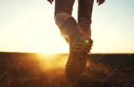 Vagas de estágio e emprego para estudantes e agrônomos no Brasil