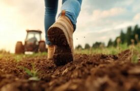 Vagas de estágio e emprego para estudantes e agrônomos no Brasil