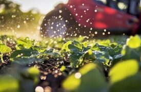 Vagas de estágio e emprego para estudantes e agrônomos no Brasil
