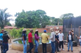 Alunos do Curso de Agronomia em um dia de campo com a EMBRAPA/VALE