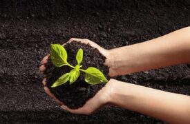 Agricultura e a COP30