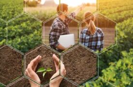 Vagas de estágio e emprego no Maranhão e no Brasil para estudantes e agrônomos