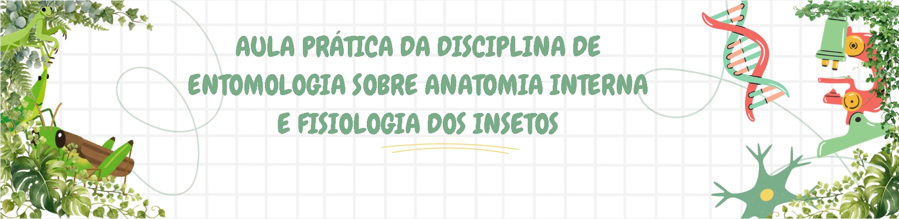 pratica